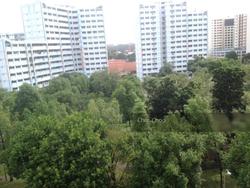 Blk 276 Choa Chu Kang Avenue 2 (Choa Chu Kang), HDB 4 Rooms #129875092